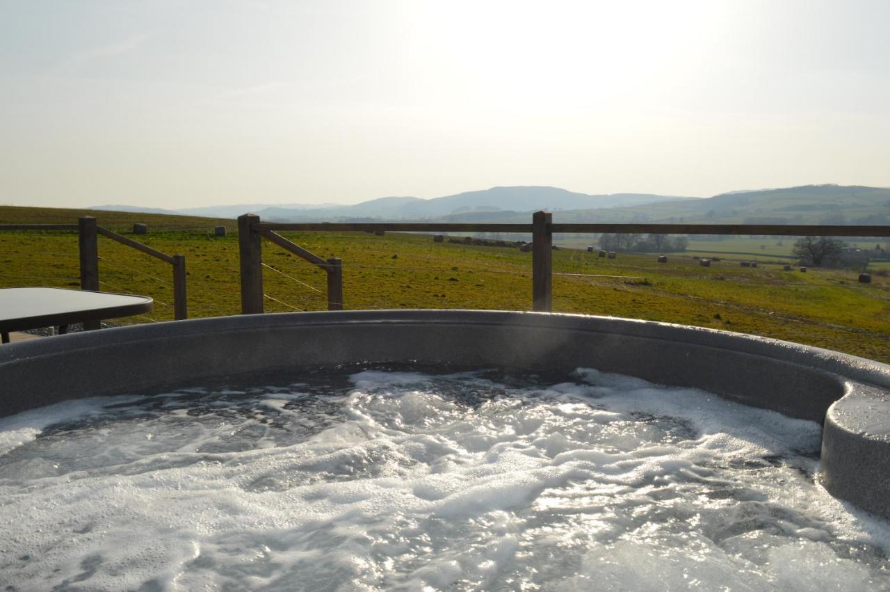 Saddle Hill Broome (Shropshire)